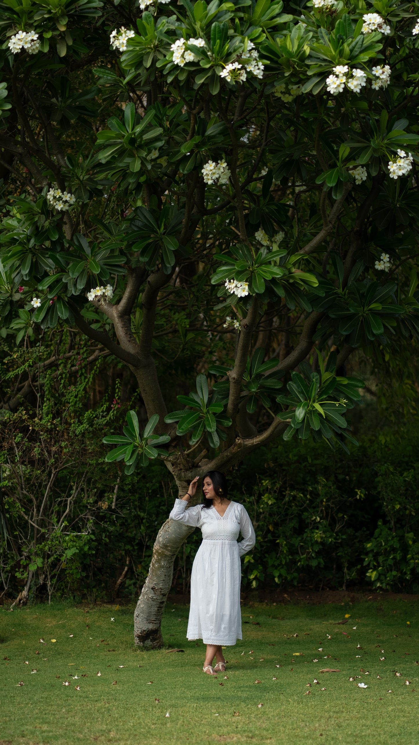 white Mul Cotton Chikankari Dress